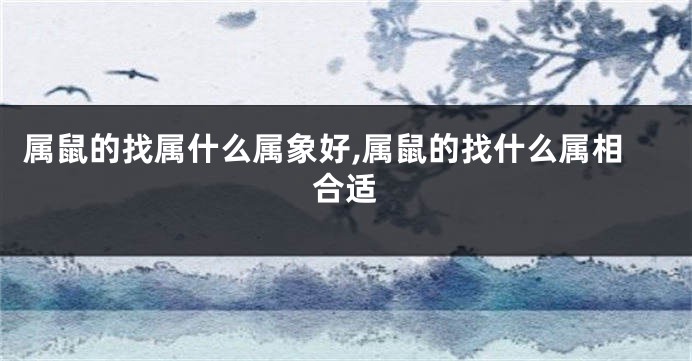 属鼠的找属什么属象好,属鼠的找什么属相合适