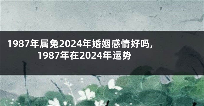 1987年属兔2024年婚姻感情好吗,1987年在2024年运势