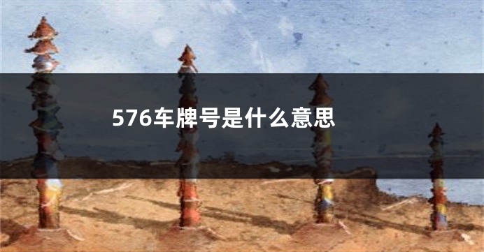 576车牌号是什么意思