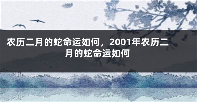 农历二月的蛇命运如何，2001年农历二月的蛇命运如何