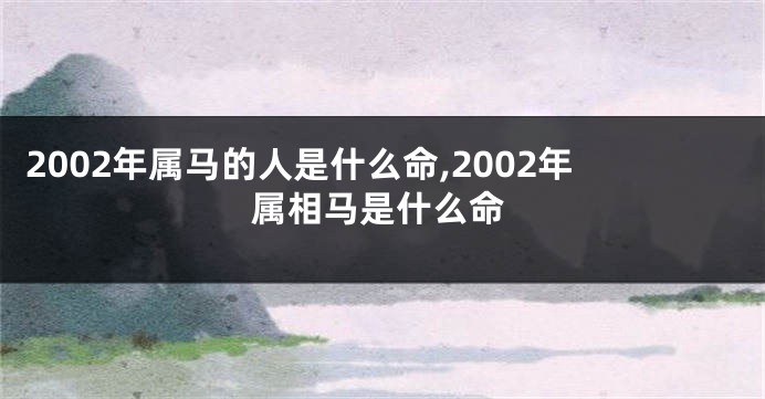 2002年属马的人是什么命,2002年属相马是什么命