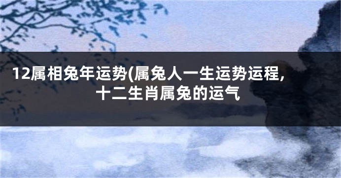 12属相兔年运势(属兔人一生运势运程,十二生肖属兔的运气