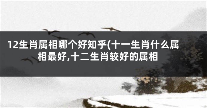 12生肖属相哪个好知乎(十一生肖什么属相最好,十二生肖较好的属相