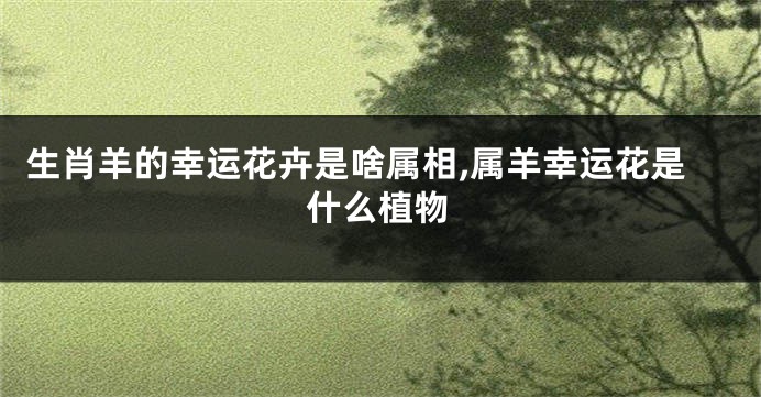 生肖羊的幸运花卉是啥属相,属羊幸运花是什么植物