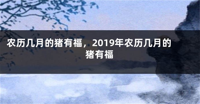 农历几月的猪有福，2019年农历几月的猪有福