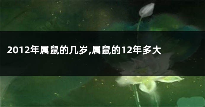 2012年属鼠的几岁,属鼠的12年多大