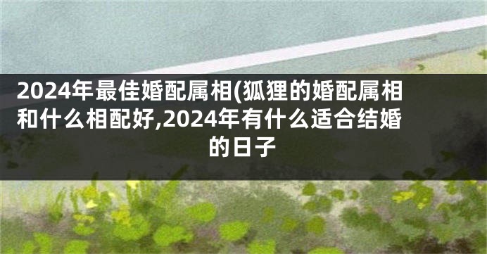 2024年最佳婚配属相(狐狸的婚配属相和什么相配好,2024年有什么适合结婚的日子