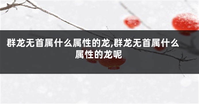 群龙无首属什么属性的龙,群龙无首属什么属性的龙呢