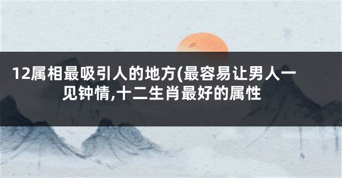 12属相最吸引人的地方(最容易让男人一见钟情,十二生肖最好的属性