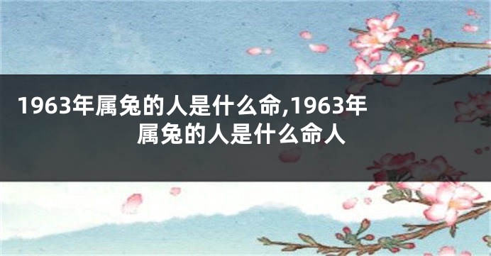 1963年属兔的人是什么命,1963年属兔的人是什么命人