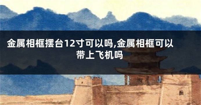 金属相框摆台12寸可以吗,金属相框可以带上飞机吗