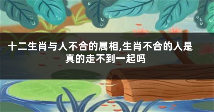 十二生肖与人不合的属相,生肖不合的人是真的走不到一起吗