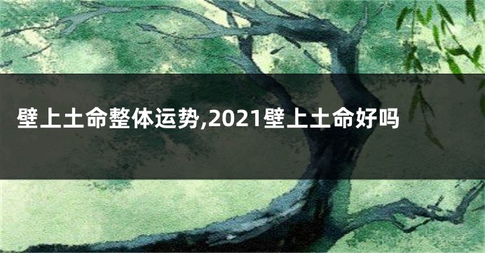 壁上土命整体运势,2021壁上土命好吗