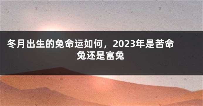 冬月出生的兔命运如何，2023年是苦命兔还是富兔