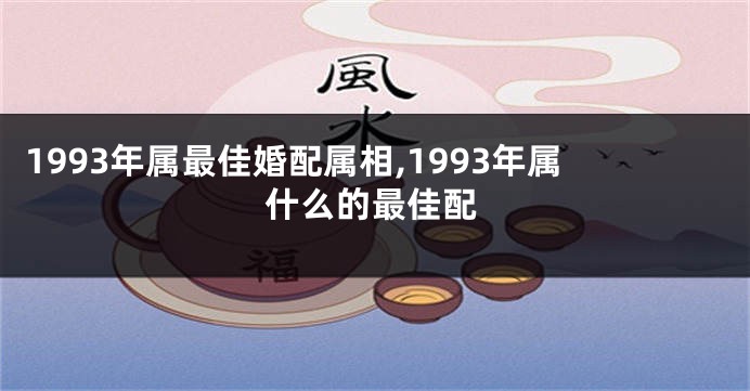 1993年属最佳婚配属相,1993年属什么的最佳配