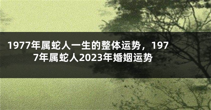 1977年属蛇人一生的整体运势，1977年属蛇人2023年婚姻运势