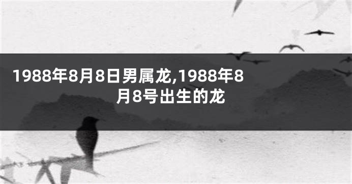 1988年8月8日男属龙,1988年8月8号出生的龙