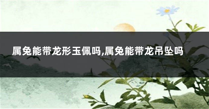 属兔能带龙形玉佩吗,属兔能带龙吊坠吗