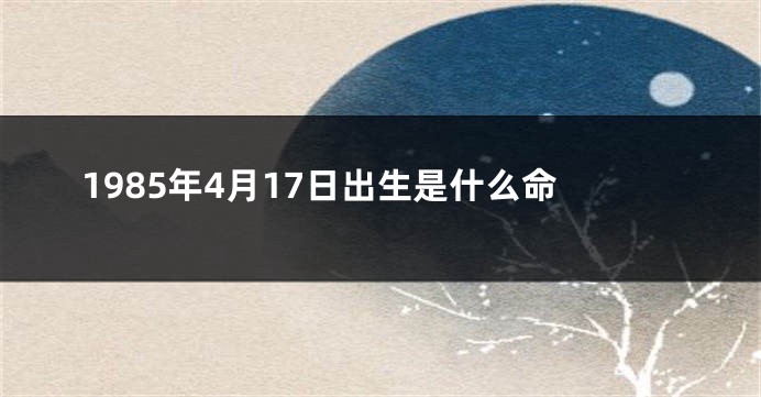 1985年4月17日出生是什么命