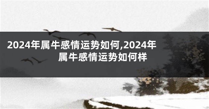 2024年属牛感情运势如何,2024年属牛感情运势如何样