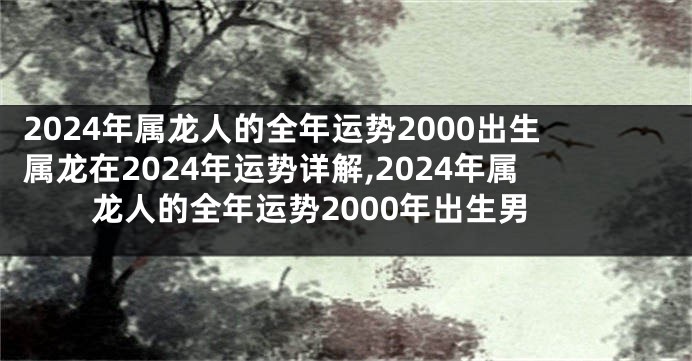 2024年属龙人的全年运势2000出生属龙在2024年运势详解,2024年属龙人的全年运势2000年出生男