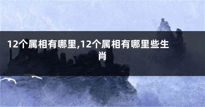 12个属相有哪里,12个属相有哪里些生肖