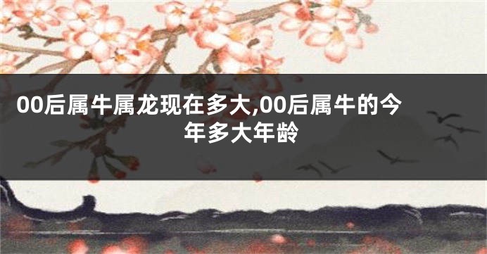 00后属牛属龙现在多大,00后属牛的今年多大年龄