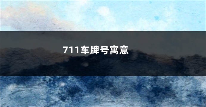 711车牌号寓意