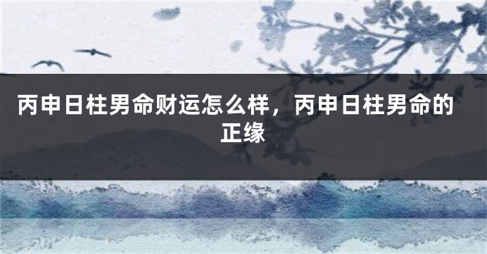 丙申日柱男命财运怎么样，丙申日柱男命的正缘