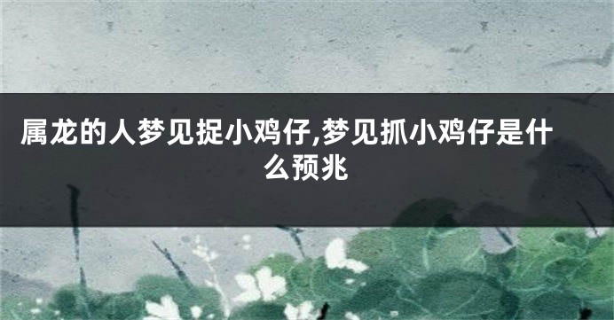 属龙的人梦见捉小鸡仔,梦见抓小鸡仔是什么预兆