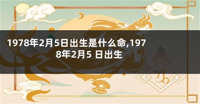 1978年2月5日出生是什么命,1978年2月5 日出生