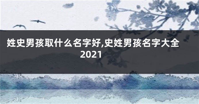 姓史男孩取什么名字好,史姓男孩名字大全2021