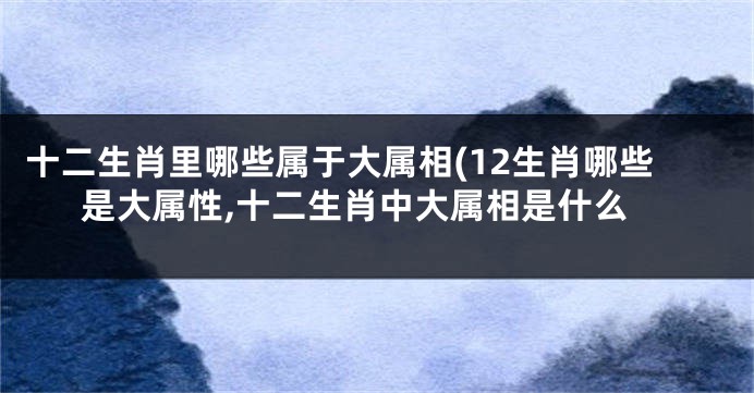 十二生肖里哪些属于大属相(12生肖哪些是大属性,十二生肖中大属相是什么