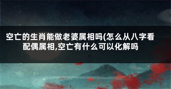 空亡的生肖能做老婆属相吗(怎么从八字看配偶属相,空亡有什么可以化解吗