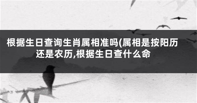 根据生日查询生肖属相准吗(属相是按阳历还是农历,根据生日查什么命