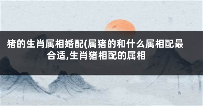 猪的生肖属相婚配(属猪的和什么属相配最合适,生肖猪相配的属相