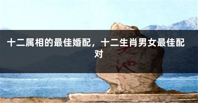 十二属相的最佳婚配，十二生肖男女最佳配对