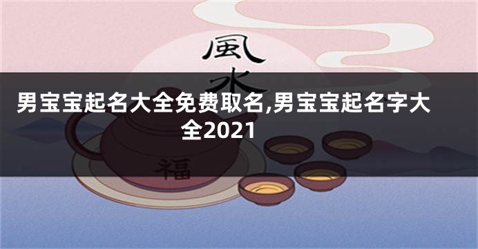 男宝宝起名大全免费取名,男宝宝起名字大全2021