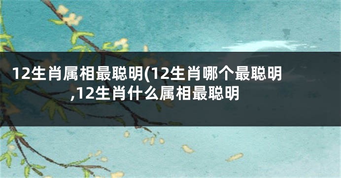 12生肖属相最聪明(12生肖哪个最聪明,12生肖什么属相最聪明