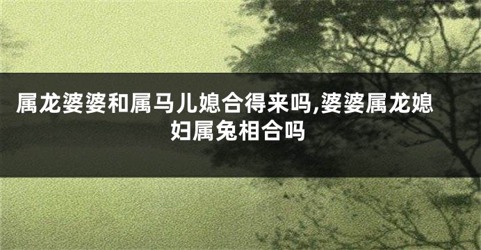 属龙婆婆和属马儿媳合得来吗,婆婆属龙媳妇属兔相合吗