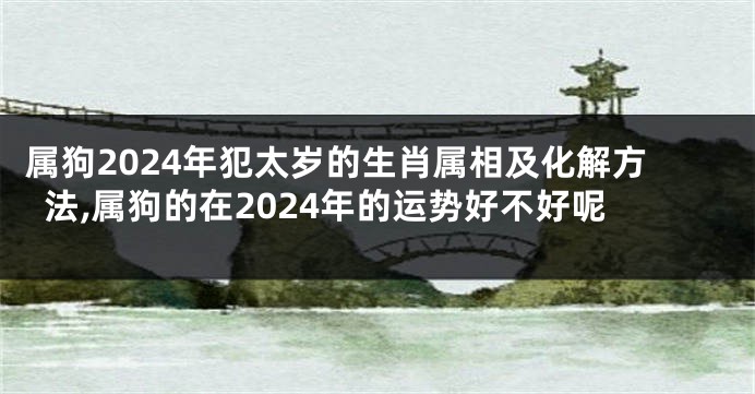 属狗2024年犯太岁的生肖属相及化解方法,属狗的在2024年的运势好不好呢