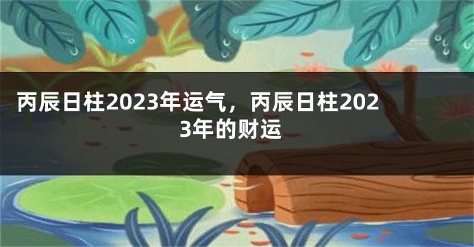 丙辰日柱2023年运气，丙辰日柱2023年的财运