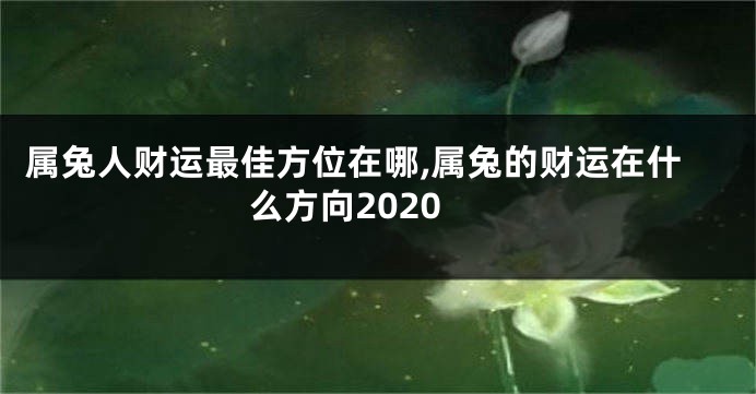 属兔人财运最佳方位在哪,属兔的财运在什么方向2020