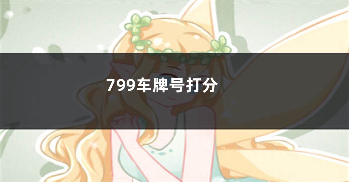 799车牌号打分