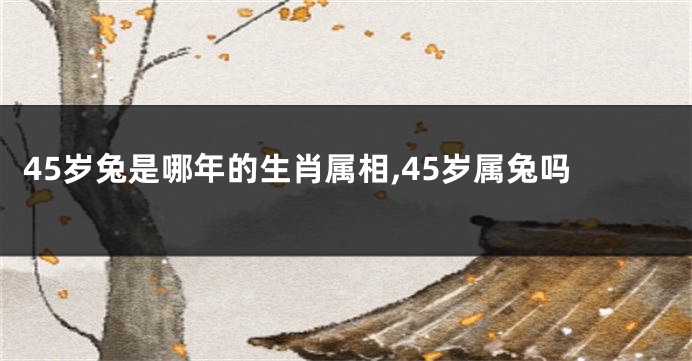 45岁兔是哪年的生肖属相,45岁属兔吗