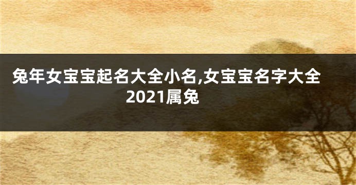 兔年女宝宝起名大全小名,女宝宝名字大全2021属兔