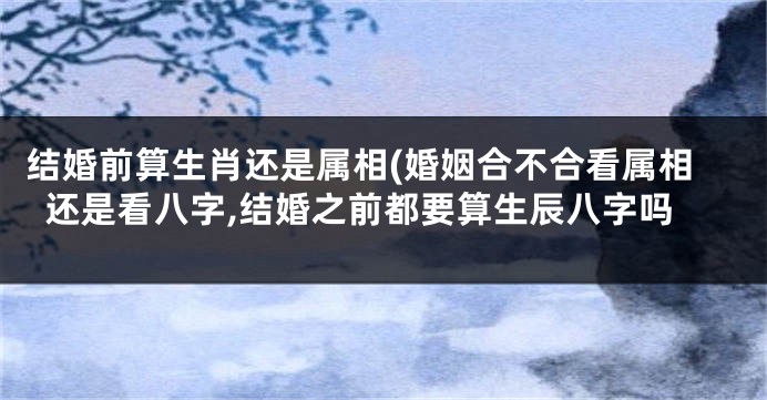 结婚前算生肖还是属相(婚姻合不合看属相还是看八字,结婚之前都要算生辰八字吗