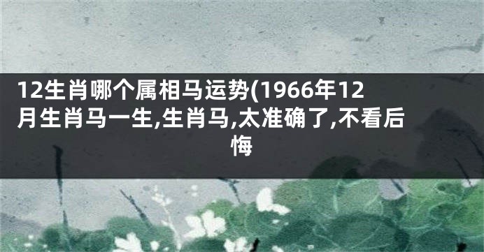 12生肖哪个属相马运势(1966年12月生肖马一生,生肖马,太准确了,不看后悔