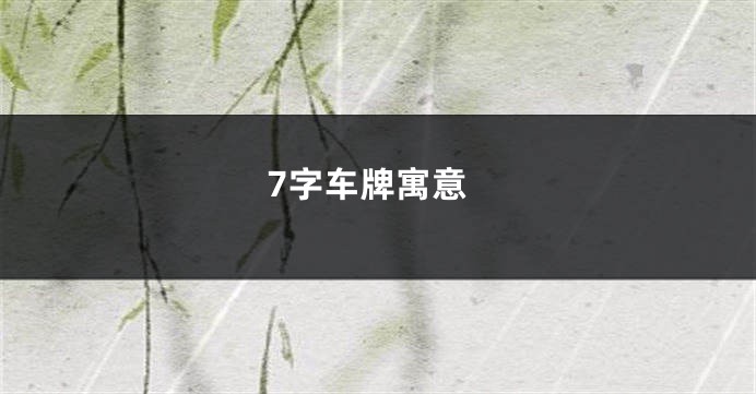 7字车牌寓意