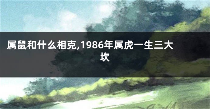 属鼠和什么相克,1986年属虎一生三大坎